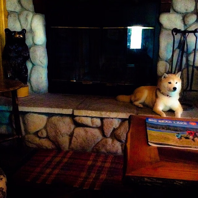 FB体育入口-_篮网攻防兼备，状态持续火热_，篮网太强