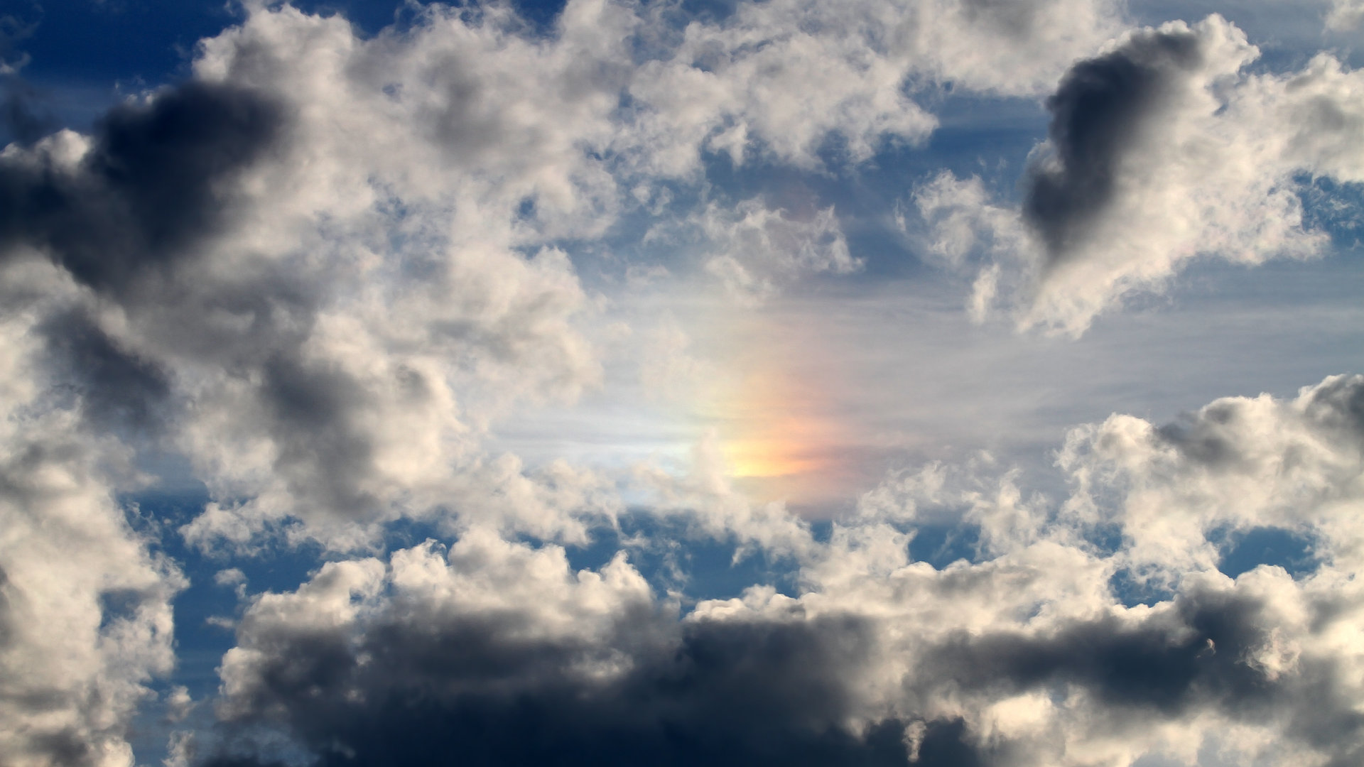 fb体育网址-“青训+资本”创新驱动行业快速发展,行业资本投入持续增加,行业资本引入战略