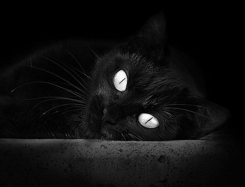 FB体育APP-【未来趋势】规则持续革新，棒球如何吸引年轻观众？，棒球guize