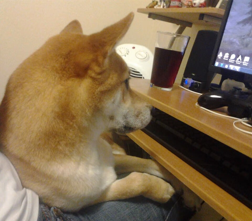 FB体育官网-中国篮球运动员首次参加国际奥林匹克训练营，中国篮球队奥运