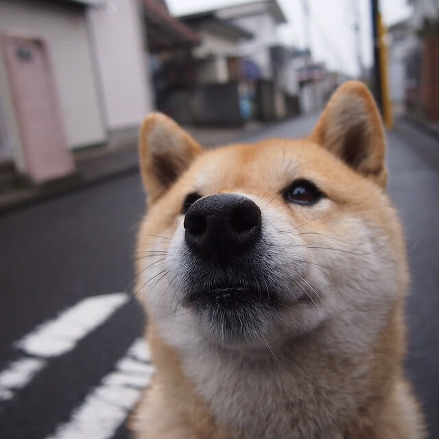FB体育官网-巴萨引进新锋霸,冲击双冠目标,那些年巴萨走过的神锋