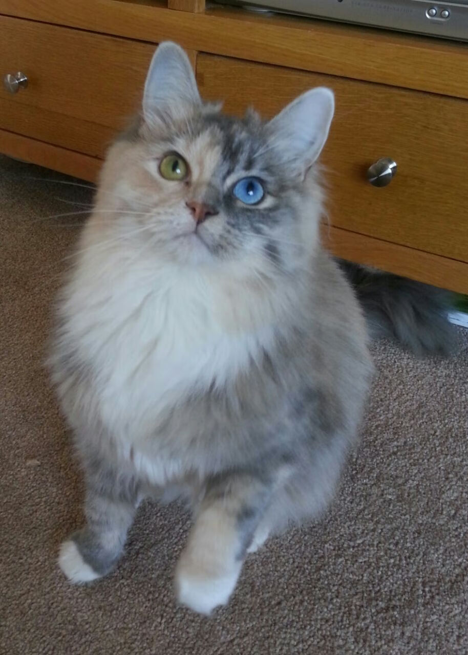 FB体育APP-赛事期间观众体验升级，互动环节丰富多彩，比赛观众