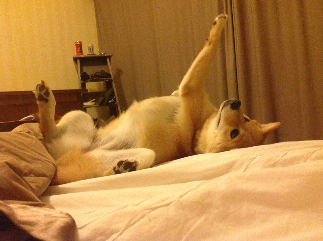 FB体育在线直播平台-法甲球队年轻球员转会价值快速提升逻辑解读,法甲转会汇总