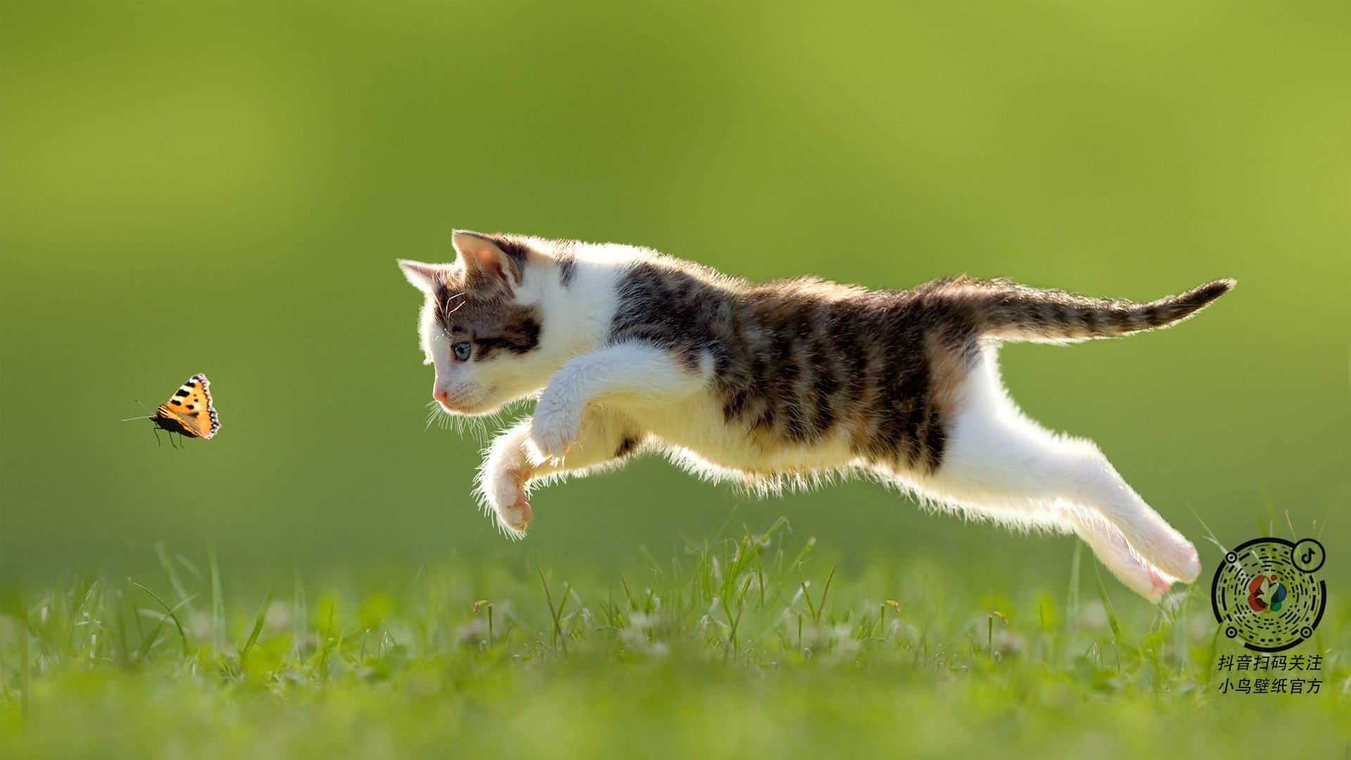 fb体育网址-Messaoudi 成为首位在日职业 3×3 登场的阿尔及利亚球员,阿尔及利亚国家队