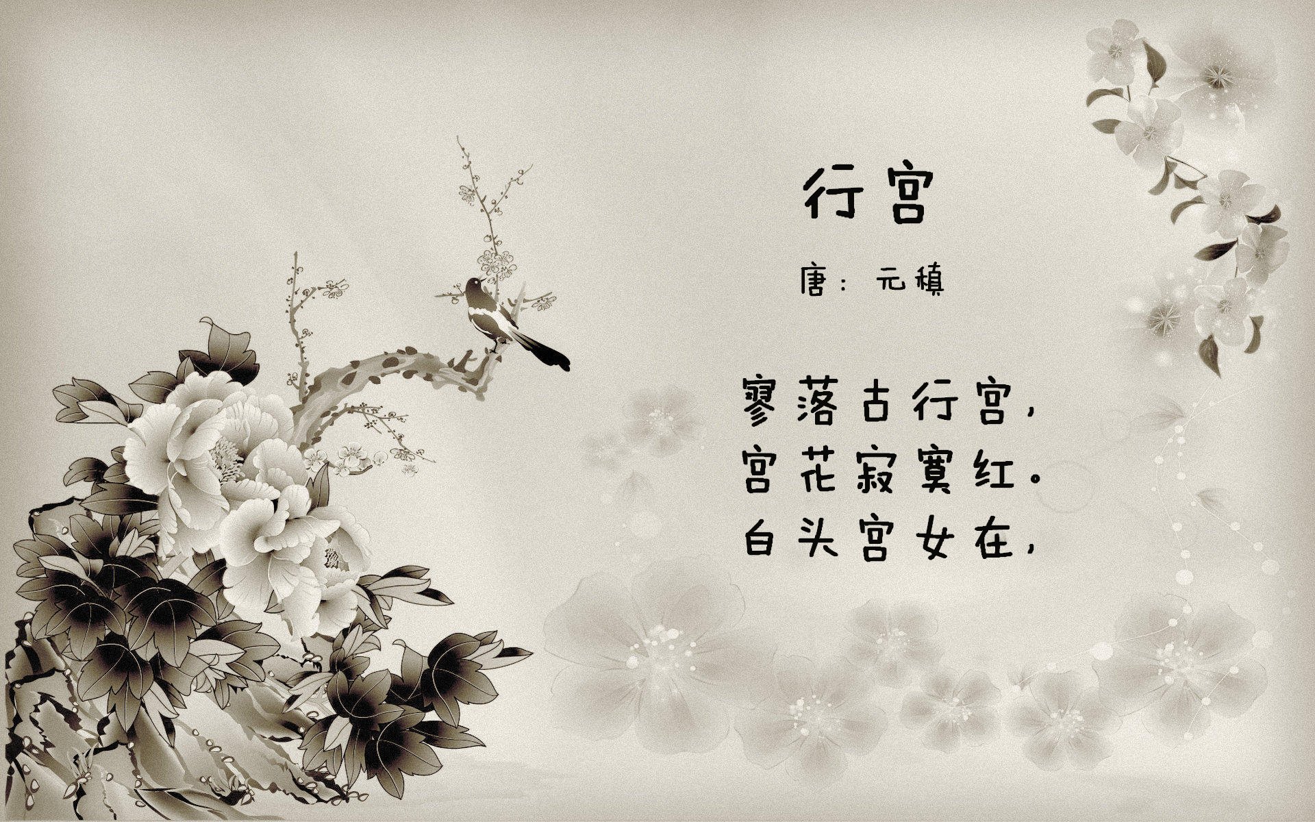 fb体育网址-Messaoudi 成为首位在日职业 3×3 登场的阿尔及利亚球员,阿尔及利亚国家队