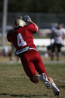 FB体育在线-五大联赛中下游球队是否易受心理波动影响表现,5大联赛球队